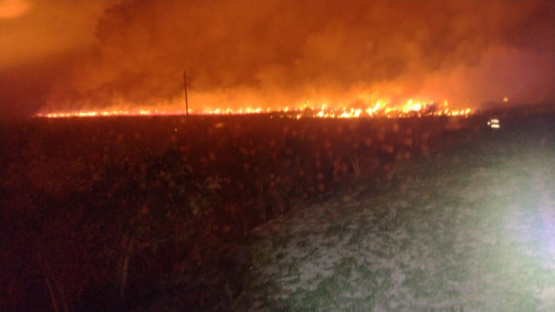 Incendio de gran magnitud en nuestra localidad